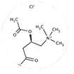 Acetyl L-Carnitine